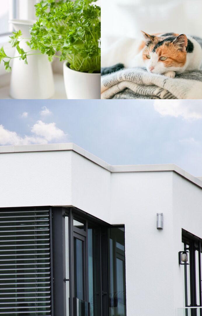 Bougie Immobilienmakler Details